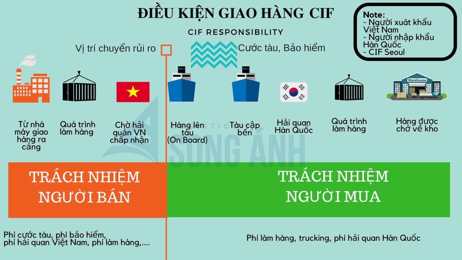 Phân Chia Trách Nhiệm Rõ Ràng: Ai Làm Gì Trong Hợp Đồng CIF?
