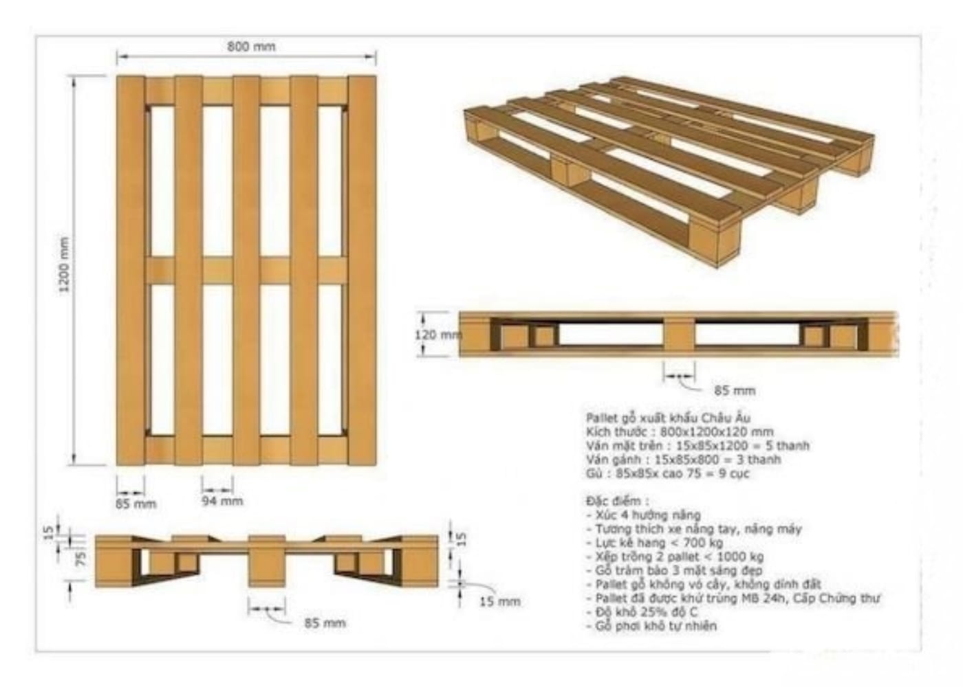 "Nói chuyện" bằng Con số: Kích thước Pallet Tiêu chuẩn Việt Nam và Quốc tế